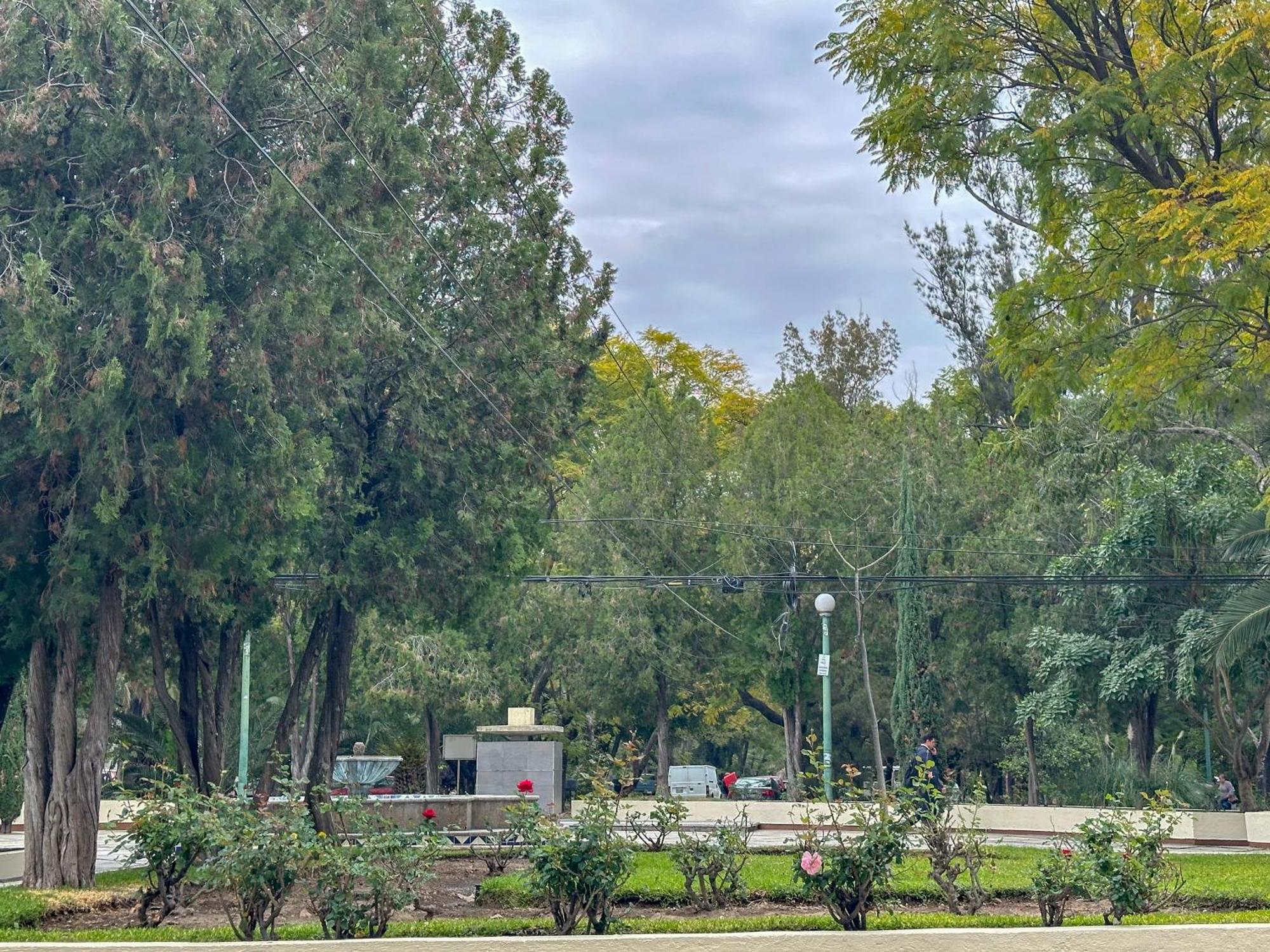 Estudio En Chapalita Estilo Y Confort Total 03 Guadalajara Bagian luar foto